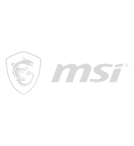 MSI